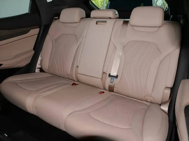 DENZA N7 Interior