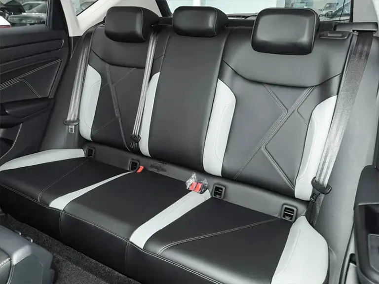 Jetta VS5 Interior